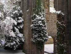 Kirchenruine im Schnee